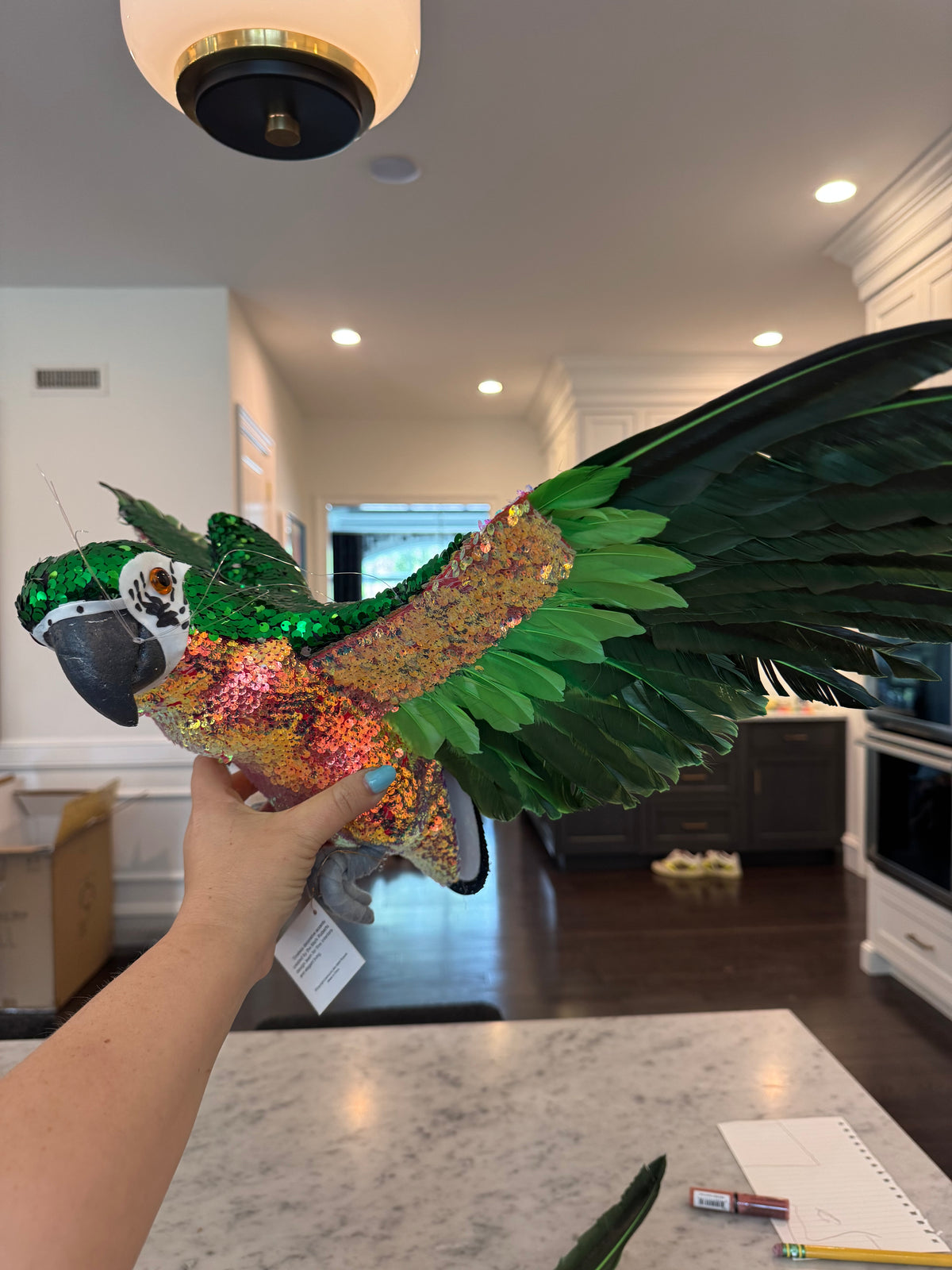 Private Listing - Parrots