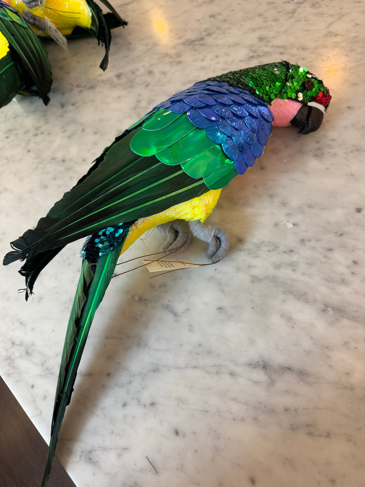 Private Listing - Parrots